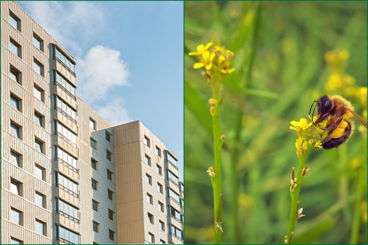 Stadtbegrünung hat positiven Effekt auf das Stadtklima