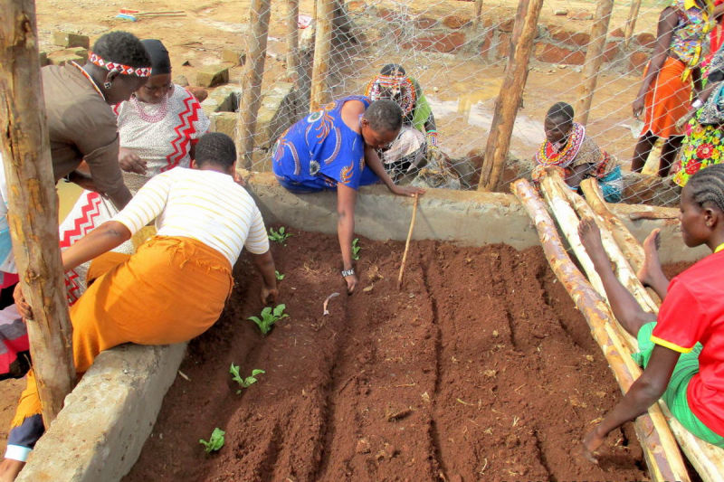 The patches are filled with potting soil and planted