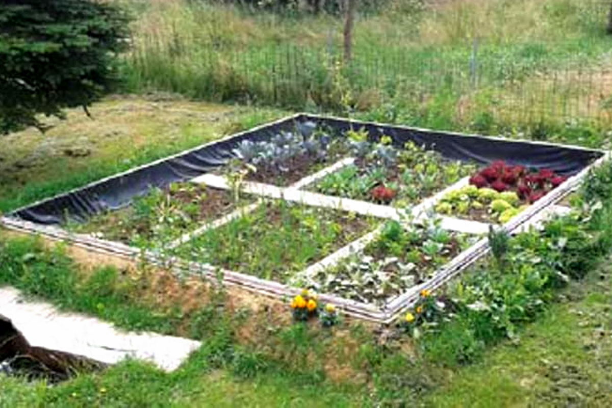 Garden beds with optimal irrigation and drainage